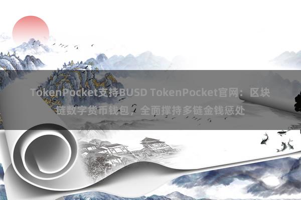 TokenPocket支持BUSD TokenPocket官网：区块链数字货币钱包，全面撑持多链金钱惩处